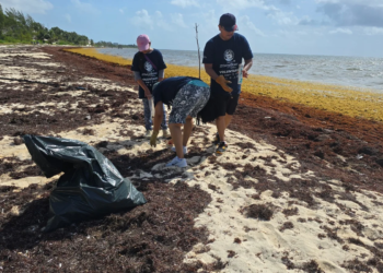 Puerto Morelos arranca el 14º Festival de los Océanos con mural y limpieza masiva