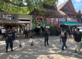 Aseguran “Animalandia Maya” en la Quinta Avenida: cateo destapa denuncias por explotación animal y deja tres detenidos