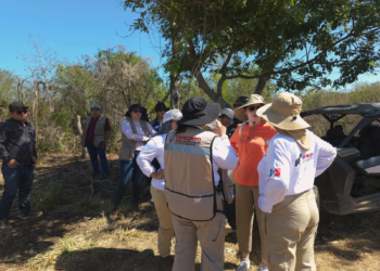 Quintana Roo se consolida como líder regional en búsqueda de personas con tecnología y enfoque humanista