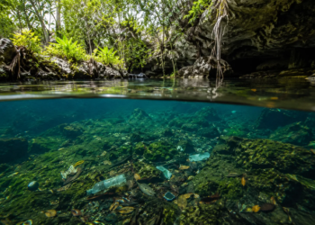 El agua de la Península está en riesgo: contaminación en Yucatán enciende alertas ambientales y de salud
