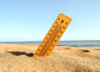 Calor