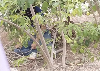 Hallan a estudiante desorientada en el fraccionamiento Paseos del Mar