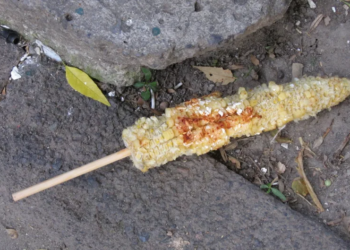 Salió volando: Elotero es embestido por automovil y se le cayeron sus elotes