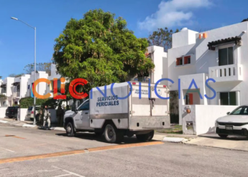 Cateo por trata en Cancún: rescatan a mujeres en fraccionamiento Real Tikal