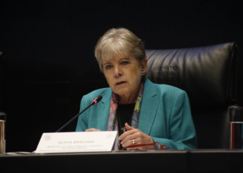 Perfect Day está en el pasado: Alicia Bárcena rechaza crear Área Natural Protegida en Mahahual