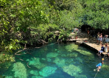 Alarma ambiental en Playa del Carmen: más de 150 cenotes contaminados con bacterias peligrosas