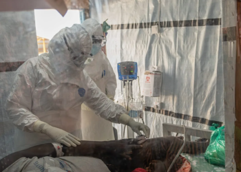 Francia en alerta sanitaria: confirma su primer caso de ébola y activa protocolos de emergencia