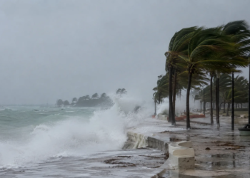 El Niño 2026: científicos y agricultores alertan por sus impactos globales 1 El Niño 2026: científicos y agricultores alertan por sus impactos globales