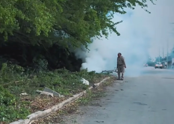 ¿Por qué realizan nebulizaciones en Chetumal? Refuerzan combate al dengue tras las lluvias 4 ¿Por qué realizan nebulizaciones en Chetumal? Refuerzan combate al dengue tras las lluvias