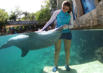 Delphinus celebra 10 años de Certificación Humanitaria de American Humane Society 2 Delphinus celebra 10 años de Certificación Humanitaria de American Humane Society
