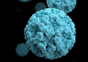 Se repite la historia: nuevo brote de norovirus golpea a crucero con cientos de pasajeros 1 Se repite la historia: nuevo brote de norovirus golpea a crucero con cientos de pasajeros