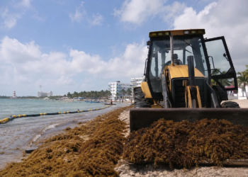 Gobierno federal lanza plan nacional contra el sargazo; Quintana Roo recibirá refuerzo histórico 3 Gobierno federal lanza plan nacional contra el sargazo; Quintana Roo recibirá refuerzo histórico