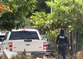 Buscan a joven desaparecido desde 2022 en la SM 234; madre denuncia presuntos cobros de una activista 4 Buscan a joven desaparecido desde 2022 en la SM 234; madre denuncia presuntos cobros de una activista