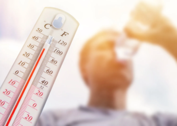 Quintana Roo suma tercera muerte por golpe de calor durante la canícula 4 Quintana Roo suma tercera muerte por golpe de calor durante la canícula