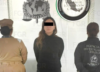 Cinco años después... detienen a la hermana de Emilio Lozoya 3 Lozoya