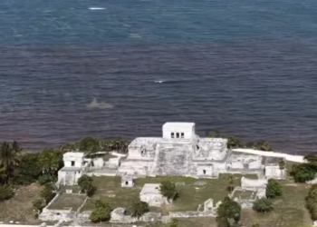 Tulum gratis, eliminan el cobro de entrada al parque del jaguar y bajan el costo de entrada a la zona arqueológica 3 Tulum gratis, eliminan el cobro de entrada al parque del jaguar y bajan el costo de entrada a la zona arqueológica