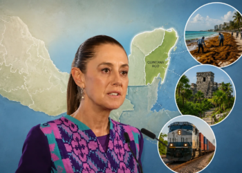 Parque del Jaguar, sargazo y Tren Maya: los tres temas que traerán a Sheinbaum a Quintana Roo 2 Sheinbaum
