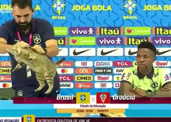 ¿La maldición del gato persigue a Brasil? La teoría que resurgió tras otra dolorosa eliminación 1 ¿La maldición del gato persigue a Brasil? La teoría que resurgió tras otra dolorosa eliminación