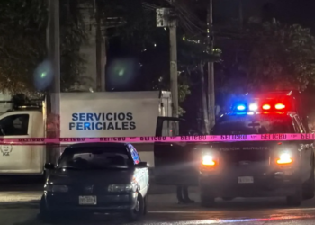Cateo en la SM 95 de #Cancún revela hallazgo de cinco cráneos y diversas credenciales 11 Cateo en la SM 95 de #Cancún revela hallazgo de cinco cráneos y diversas credenciales
