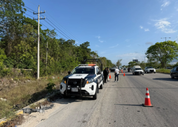Hallan dos cuerpos en la carretera Puerto Morelos-Cancún