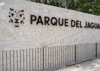 ¿Gratis pero privatizado? La trampa para entrar en auto al Parque del Jaguar