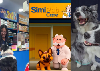 ¿Es Simi PET en Cancún una buena opción? 2 ¿Es Simi PET en Cancún una buena opción?