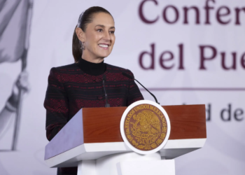 EE.UU. frena aguacate de Michoacán; México busca destrabar exportaciones