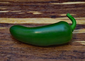 CDC alerta por brote de salmonela vinculado a jalapeños procedentes de México 1 CDC alerta por brote de salmonela vinculado a jalapeños procedentes de México