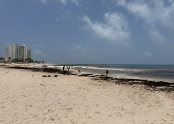 Más de 50 playas de Quintana Roo permanecen en semáforo rojo por sargazo 3 Más de 50 playas de Quintana Roo permanecen en semáforo rojo por sargazo