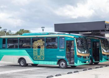 Lanzan Tren Maya Conecta para mejorar la movilidad en Cancún y Playa del Carmen 1 Lanzan Tren Maya Conecta para mejorar la movilidad en Cancún y Playa del Carmen
