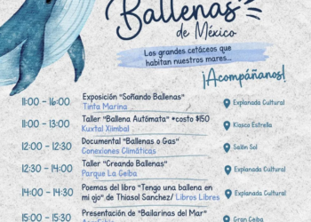 Playa del Carmen celebrará a las ballenas con arte, ciencia y actividades familiares