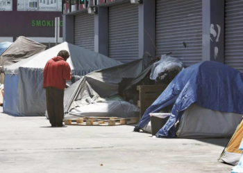 Bolivia desata polémica por propuesta de esterilización obligatoria para mujeres en situación de calle 3 Bolivia desata polémica por propuesta de esterilización obligatoria para mujeres en situación de calle