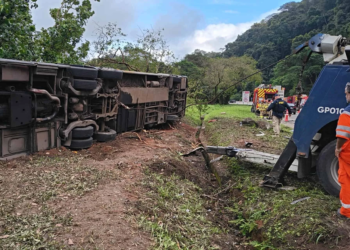 Tragedia en Brasil: choque entre autobús y camión deja al menos 23 muertos 1 Tragedia en Brasil: choque entre autobús y camión deja al menos 23 muertos