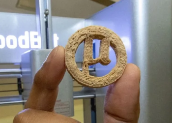 ¿Comida hecha de plástico? Científicos crean galletas con residuos y microorganismos