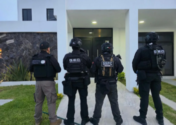 Tigres, panteras y 113 vehículos: esto encontraron en operativo contra el CJNG 3 Tigres, panteras y 113 vehículos: esto encontraron en operativo contra el CJNG