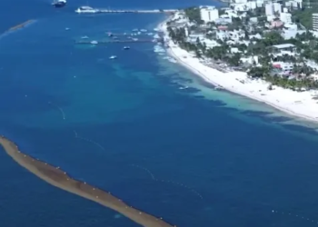 Así lucen hoy las playas de Puerto Morelos en plena temporada de sargazo 1 Así lucen hoy las playas de Puerto Morelos en plena temporada de sargazo