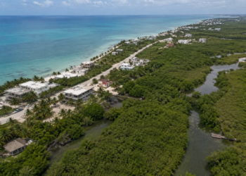 Semarnat frena proyecto turístico en Puerto Morelos 8 Semarnat frena proyecto turístico en Puerto Morelos