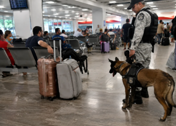Cancún refuerza la seguridad en su terminal ADO durante el verano 5 Cancún refuerza la seguridad en su terminal ADO durante el verano