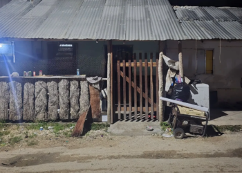 Localizan invernadero y armas largas durante cateos en Lázaro Cárdenas