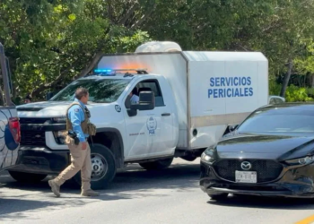 Hallan hombre sin vida en manglares de Zona Hotelera Cancún 3 Hallan hombre sin vida en manglares de Zona Hotelera Cancún