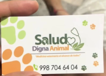 Denuncian a veterinaria “Salud Digna Animal” por negligencia