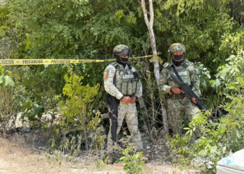 Hallan cuerpo embolsado en camino de terracería de la zona sur de #Cancún 1 Hallan cuerpo embolsado en camino de terracería de la zona sur de #Cancún