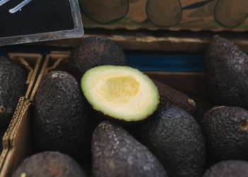 EE.UU. frena aguacate de Michoacán; México busca destrabar exportaciones 2 Aguacate
