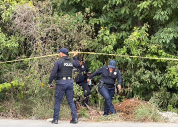 Localizan cuerpo en descomposición en área verde de la SM 515