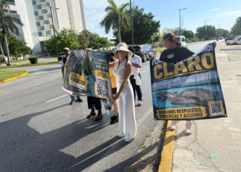 Protestan en la Zona Hotelera de Cancún por delfines en cautiverio 1 Protestan en la Zona Hotelera de Cancún por delfines en cautiverio