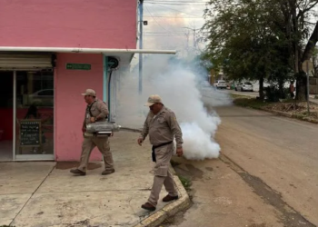 Refuerzan combate al dengue con termonebulización en Cancún