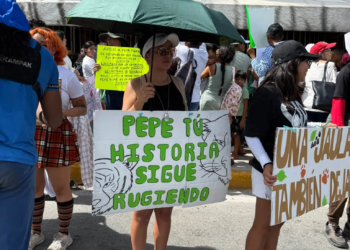 Cancún exige respuestas por el jaguar de Pepe Tigre; Profepa no pudo inspeccionarlo