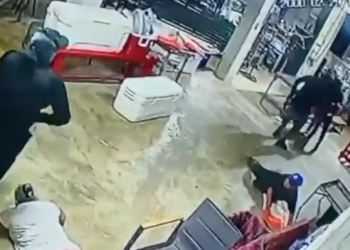 Comerciantes al acecho de las ratas; de nuevo sufren robo en una tortillería 1 Comerciantes al acecho de las ratas; de nuevo sufren robo en una tortillería