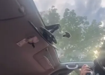 Pasajera graba a conductor de la Ruta 29 presuntamente tocándose sus partes íntimas en 1 Pasajera graba a conductor de la Ruta 29 presuntamente tocándose sus partes íntimas en