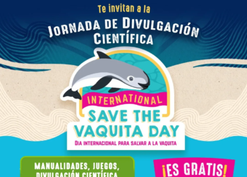 Cancún se suma a la lucha por salvar a la vaqueta marina con jornada gratuita de educación ambiental 3 Cancún se suma a la lucha por salvar a la vaqueta marina con jornada gratuita de educación ambiental
